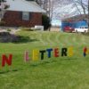 Lawn Ornaments - Image 10