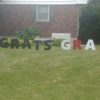 Lawn Ornaments - Image 12