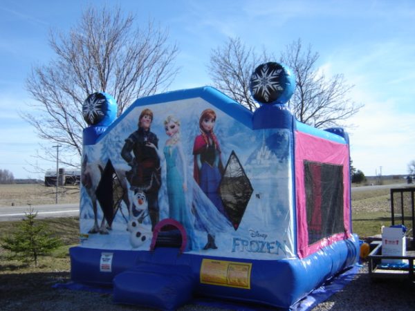 Inflatable Frozen Party Supply Co.