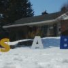 Lawn Ornaments - Image 5